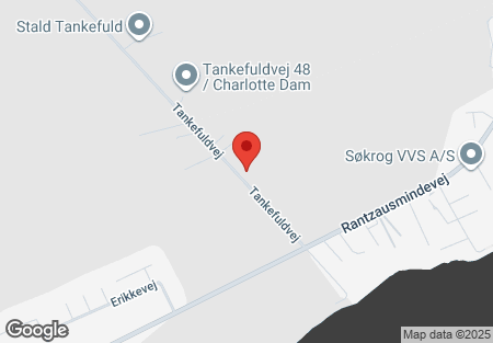 Tankefuldvej 30 Svendborg